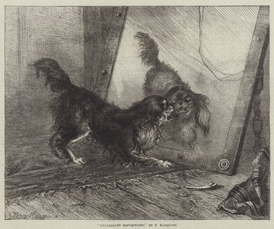 Réflexions désagréables - Percy Macquoid
